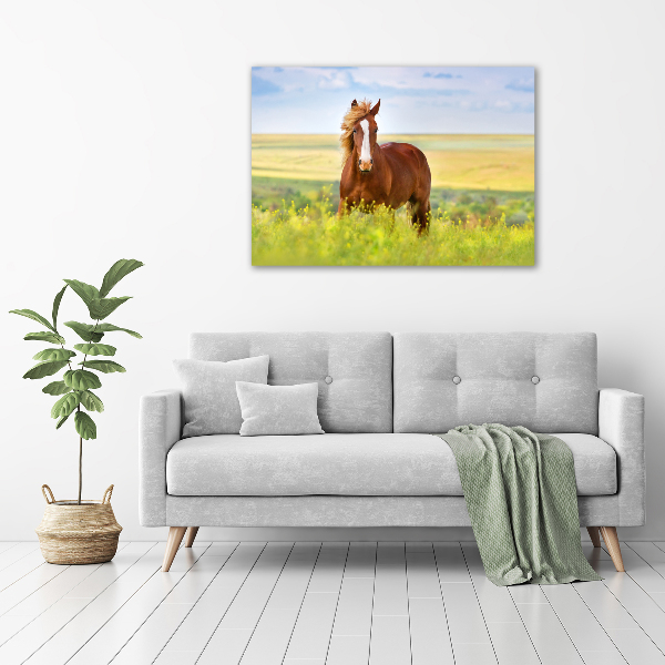 Foto canvas Bruin paard