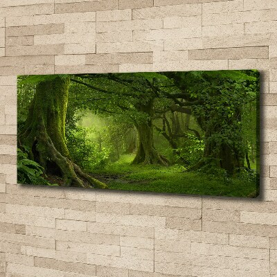 Foto canvas Tropische jungle