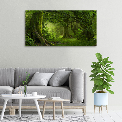 Foto canvas Tropische jungle