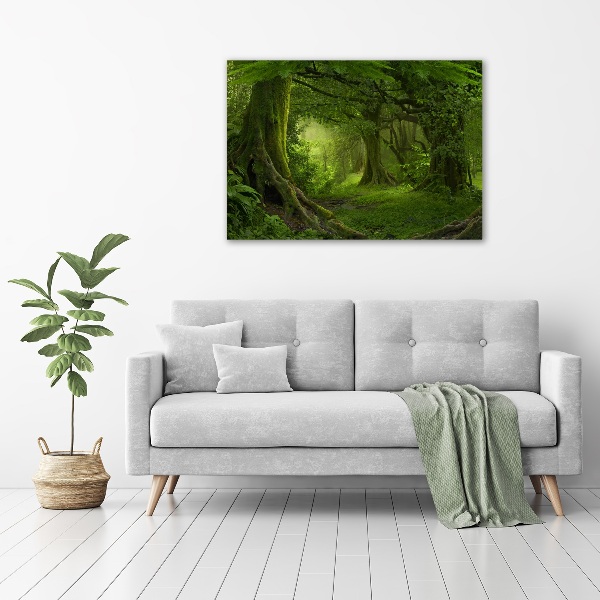 Foto canvas Tropische jungle