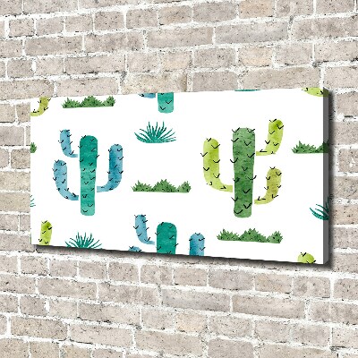 Foto canvas Cactussen
