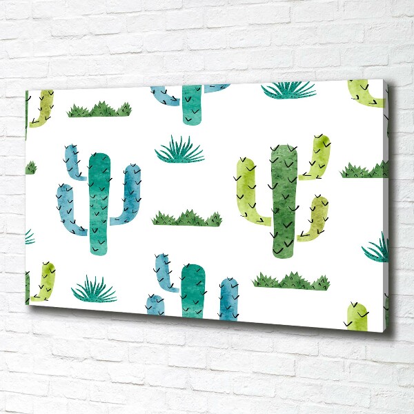 Foto canvas Cactussen