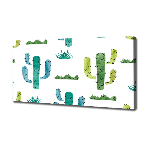 Foto canvas Cactussen