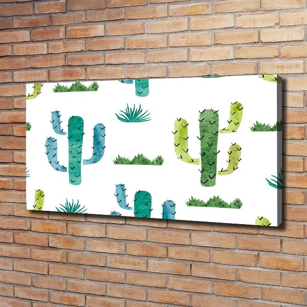 Foto canvas Cactussen