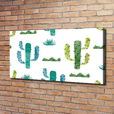 Foto canvas Cactussen