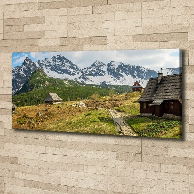Foto obraz canvas Hale Tatry