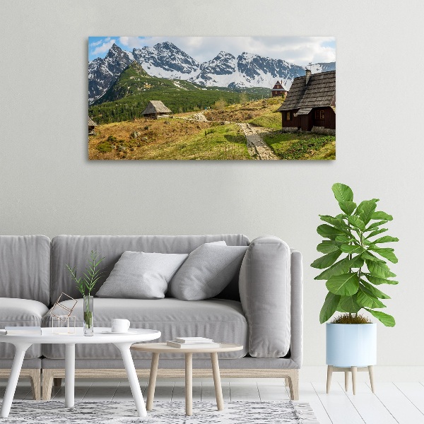 Foto op canvas Tatragebergte weiden