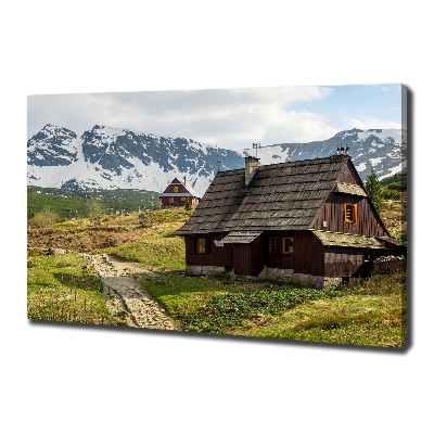 Foto obraz canvas Hale Tatry