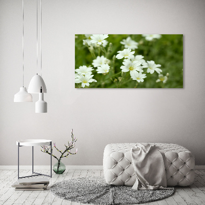 Canvas schilderij Lentebloemen