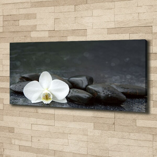 Foto op canvas Orchidee