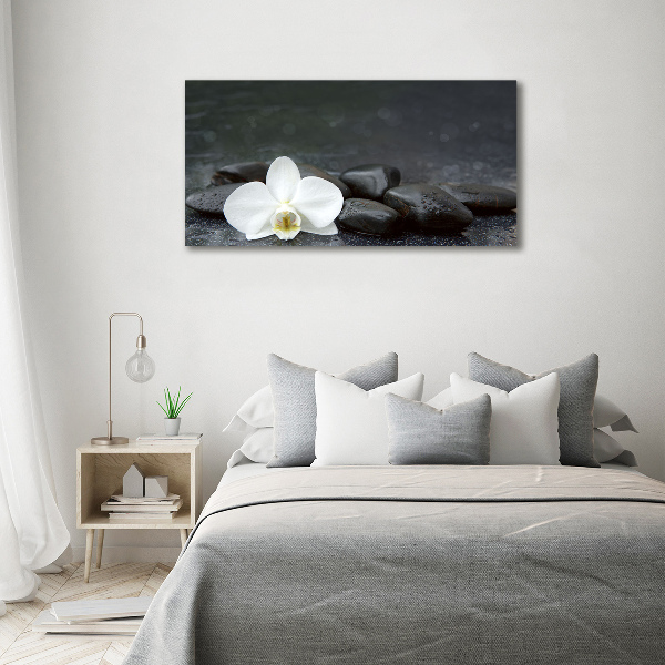 Foto op canvas Orchidee