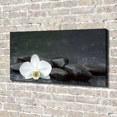 Foto obraz canvas Orchidea