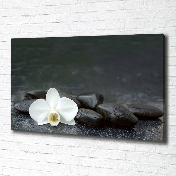 Foto op canvas Orchidee