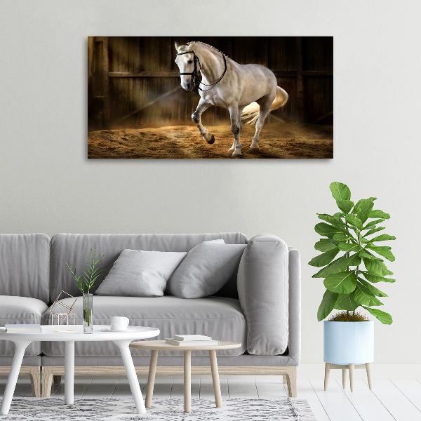 Canvas schilderij Wit paard in de stal