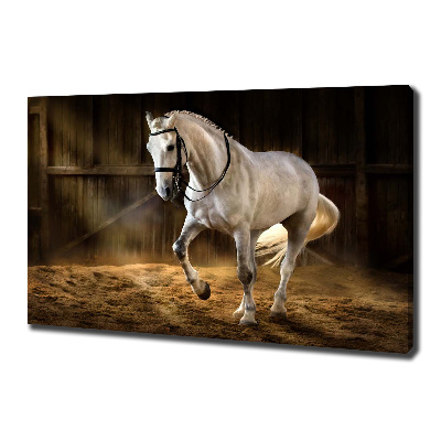 Canvas schilderij Wit paard in de stal