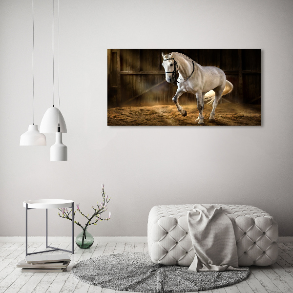 Canvas schilderij Wit paard in de stal