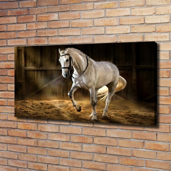 Canvas schilderij Wit paard in de stal