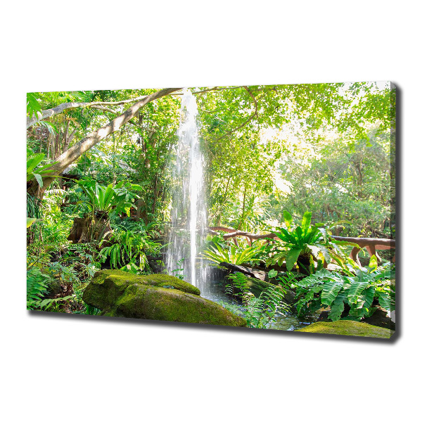 Foto canvas Waterval