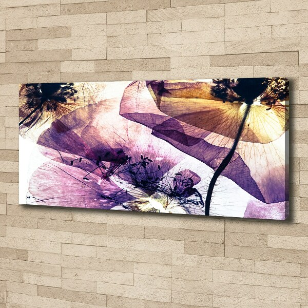 Canvas foto Droge klaprozen