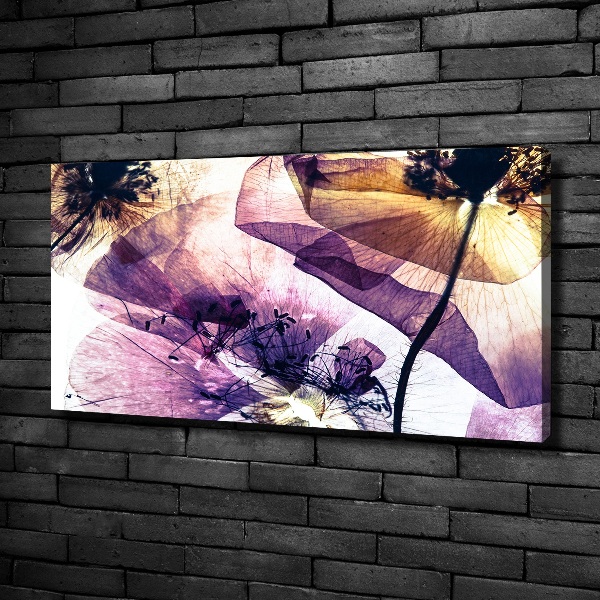 Canvas foto Droge klaprozen