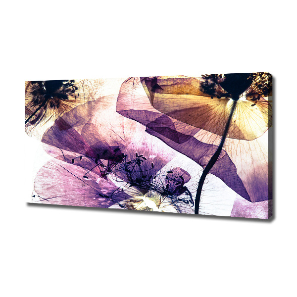 Foto obraz canvas Suche maki