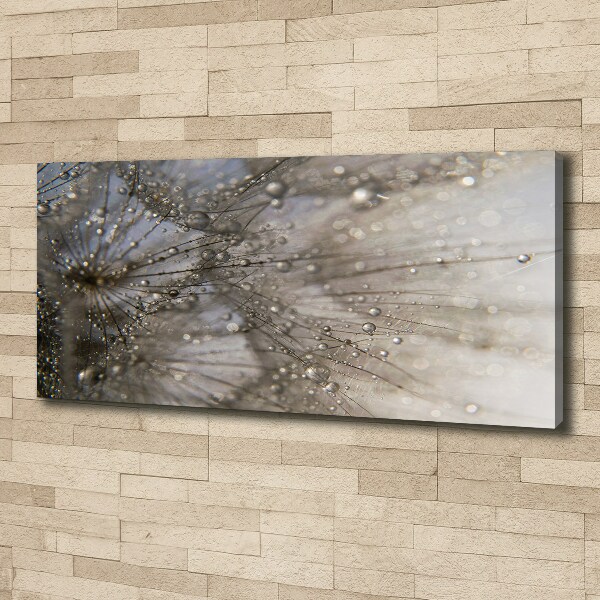 Schilderij op canvas Paardenbloemzaden