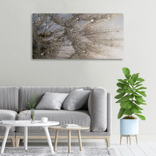 Schilderij op canvas Paardenbloemzaden