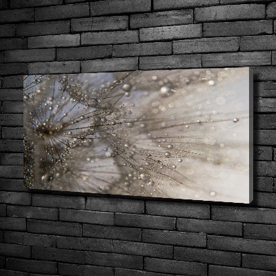 Schilderij op canvas Paardenbloemzaden