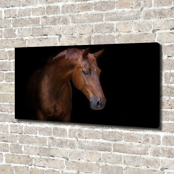 Schilderij op canvas Bruin paard