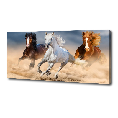 Foto op canvas Paarden in de woestijn