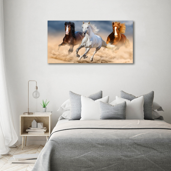 Foto op canvas Paarden in de woestijn