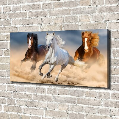 Foto op canvas Paarden in de woestijn