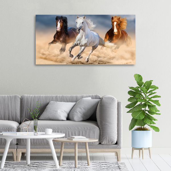 Foto op canvas Paarden in de woestijn
