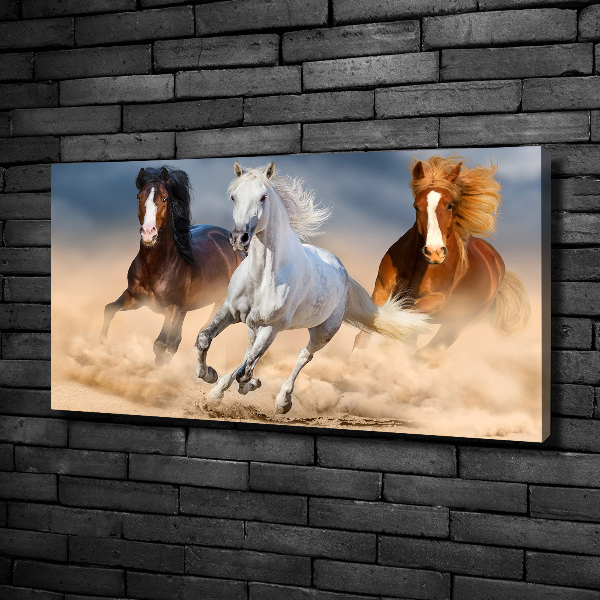 Foto op canvas Paarden in de woestijn