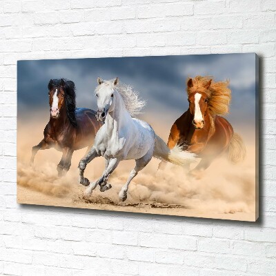 Foto op canvas Paarden in de woestijn