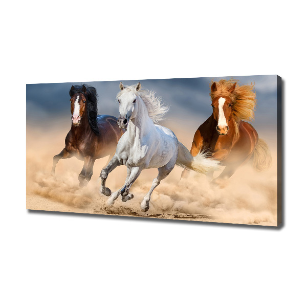 Foto op canvas Paarden in de woestijn