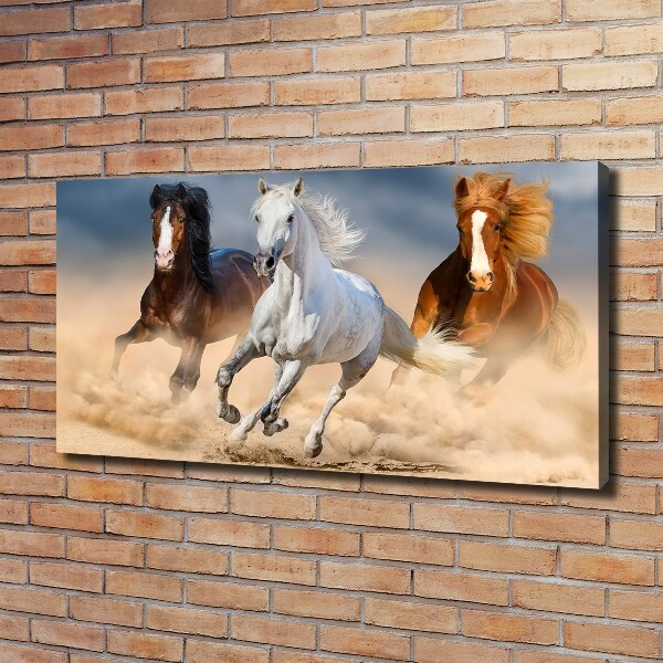 Foto op canvas Paarden in de woestijn