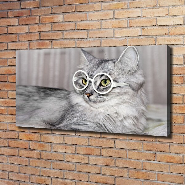 Canvas schilderij Kat met bril