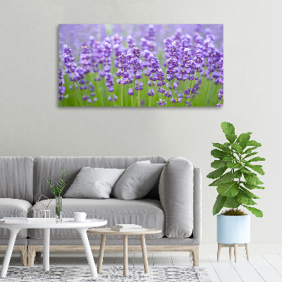 Foto canvas Lavendel