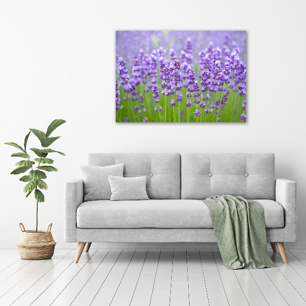 Foto canvas Lavendel