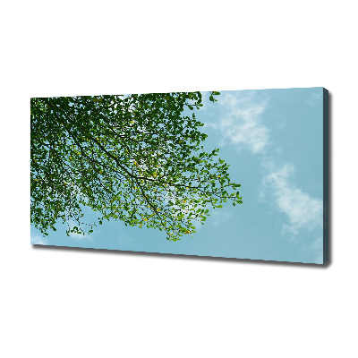 Canvas schilderij Bladeren in de lucht