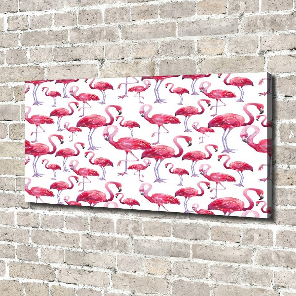 Foto op canvas Flamingo's