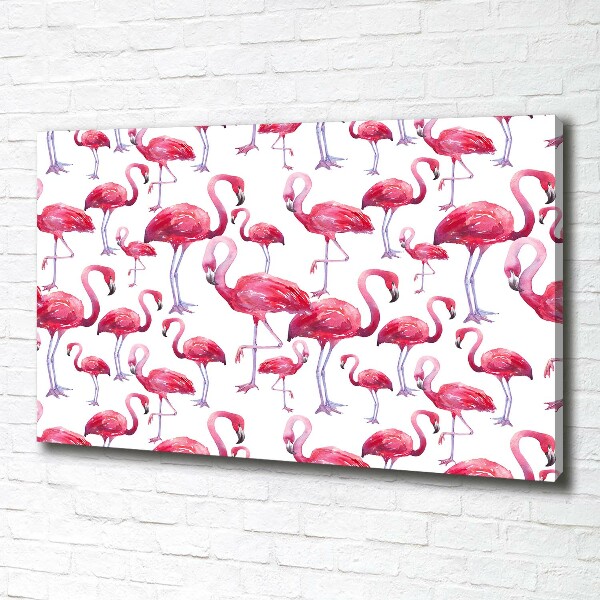 Foto op canvas Flamingo's