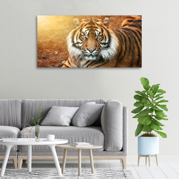 Schilderij op canvas Bengaalse tijger