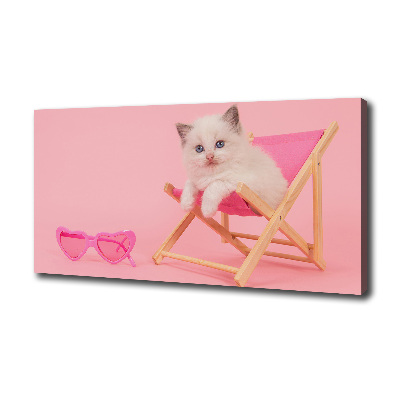 Foto obraz na płótnie Kot na leżaku