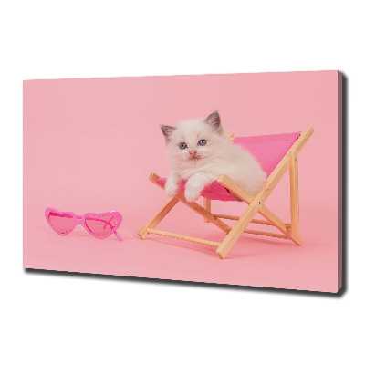 Foto canvas Kat op een ligstoel