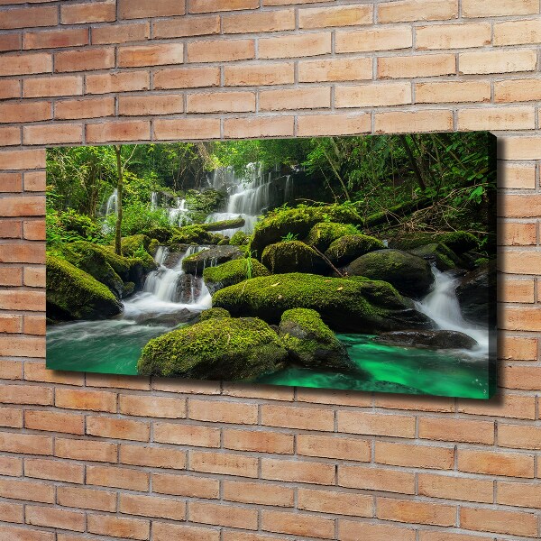 Canvas foto Waterval in het bos