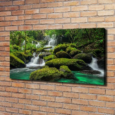 Canvas foto Waterval in het bos