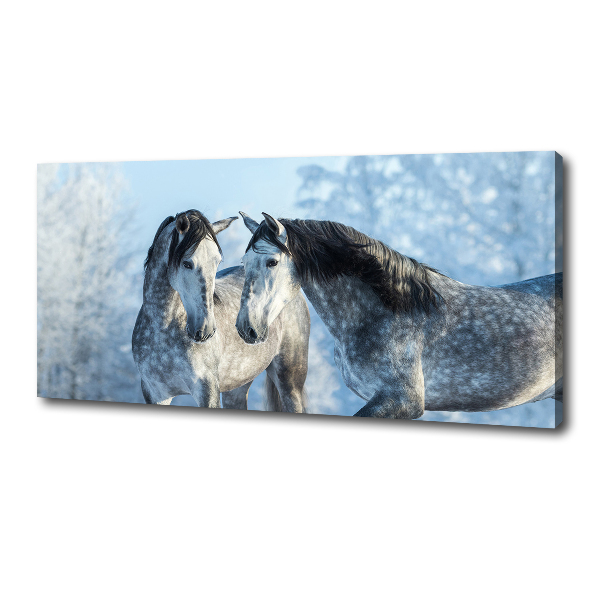 Foto op canvas Grijze paarden in de winter