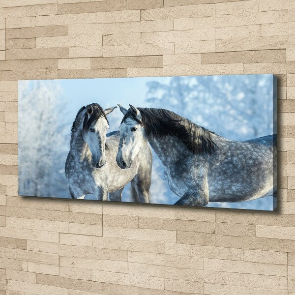 Foto op canvas Grijze paarden in de winter